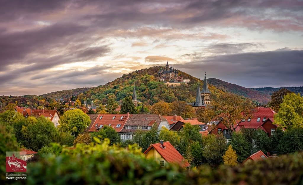 Wernigeröder Stadtpanorama